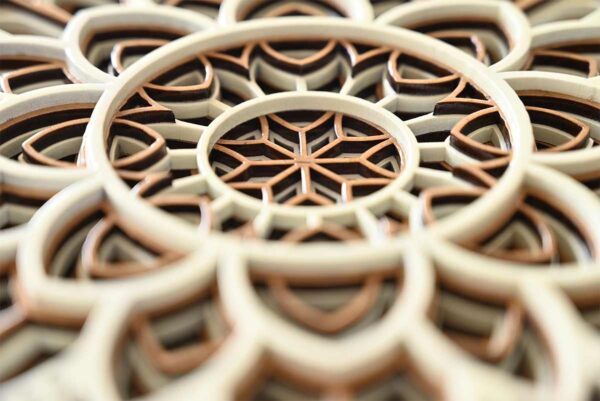 flower-2-compressed.jpg flower-2-compressed.jpg